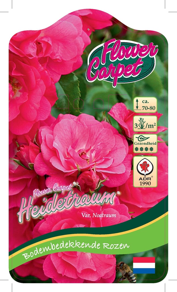 'Heidetraum'® Flower Carpet Rozelaar