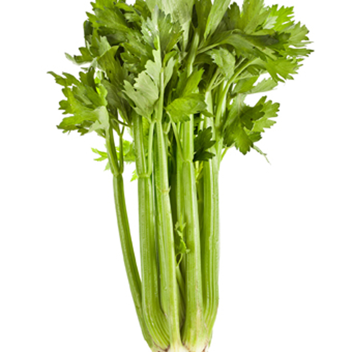 CÉLERI VERT