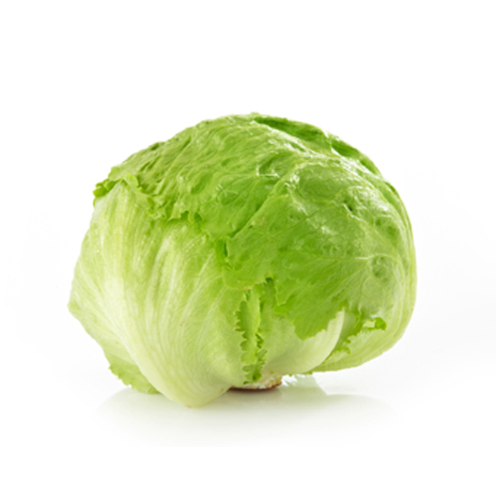 LAITUE ICEBERG