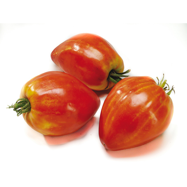[TOCDBOE] TOMAAT COEUR DE BOEUF (pot  10.5cm)