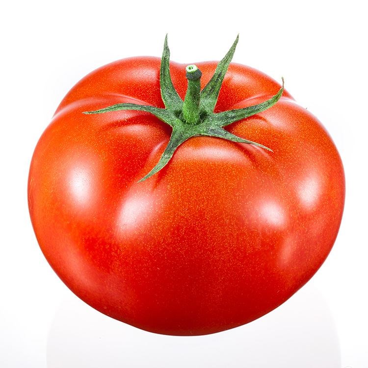 TOMATE FANTASIO