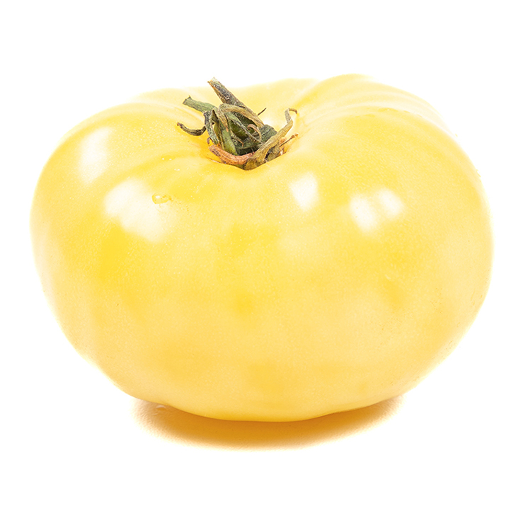 [TOLEMON] TOMAAT LEMONI F1