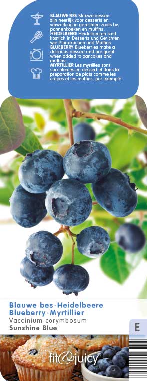 [VACSBLU] Vaccinium cor. 'Sunshine Blue' AMERIKAANSE BLAUWBES (pot   5L)