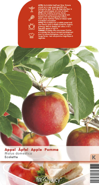 [APECOLE] Appel 'ÉCOLETTE'® (laagstam, —, —)