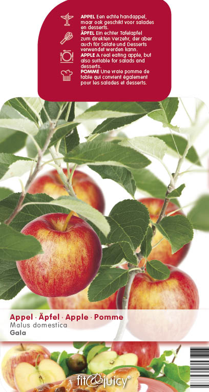 [APGALA] Appel 'GALA' (halfstam, —, pot)