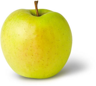 [APGDELI] POMME 'GOLDEN DELICIOUS' (demi tige, —, pot)