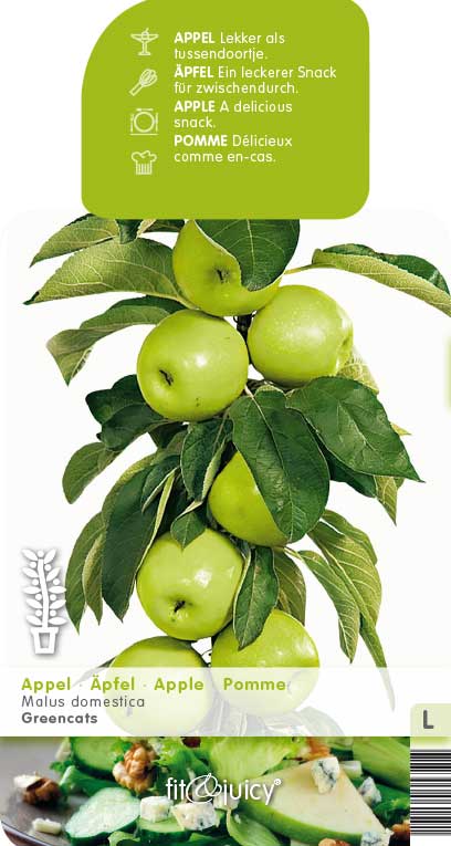 [APGREEN] POMME 'GREENCATS'