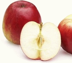 [APJONAT] POMME 'JONATHAN' (haute tige, —, pot)