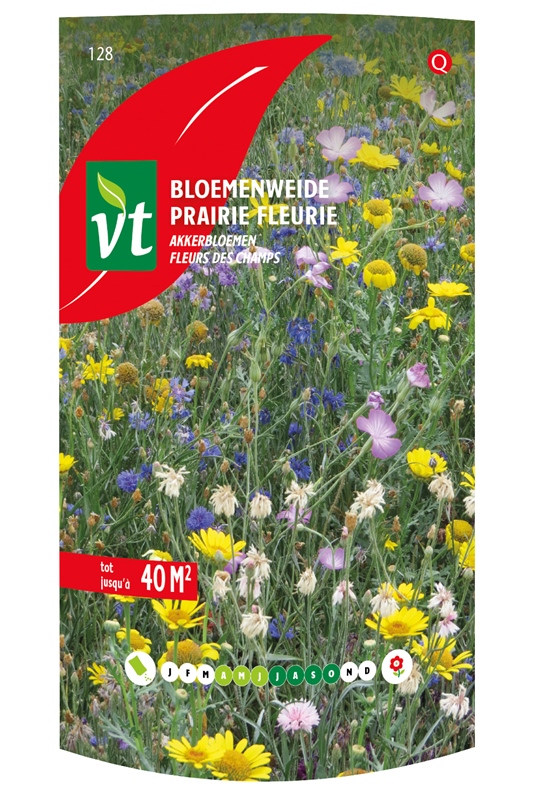 [00128] BLOEMENWEIDE AKKERBLOEMEN