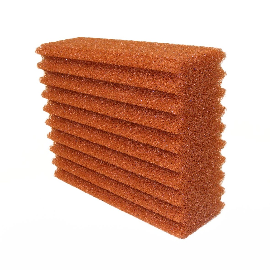MOUSSE ROUGE BIOSMART 18000-36000