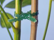 [6040456] Bindband met rattenstaartsluiting