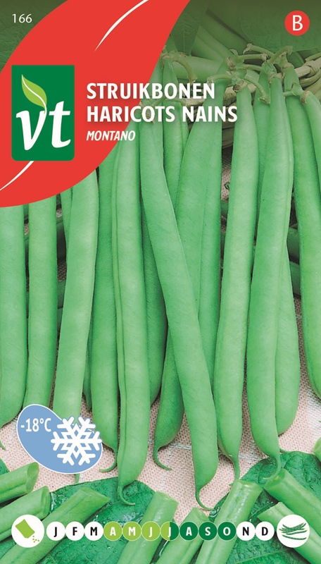[50001081] HARICOTS NAINS MONTANO