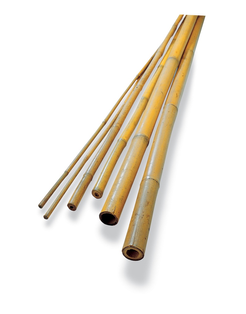 [BAMBOES] BAMBOESTOK (stuk) (90cm 10/12)