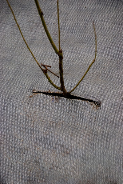 [BIOWEED] BIO-WEEDTEX (volle rol) (2m40)