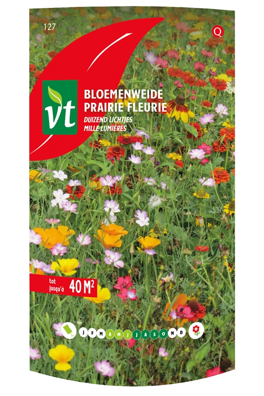 [00127] BLOEMENWEIDE DUIZEND LICHTJES