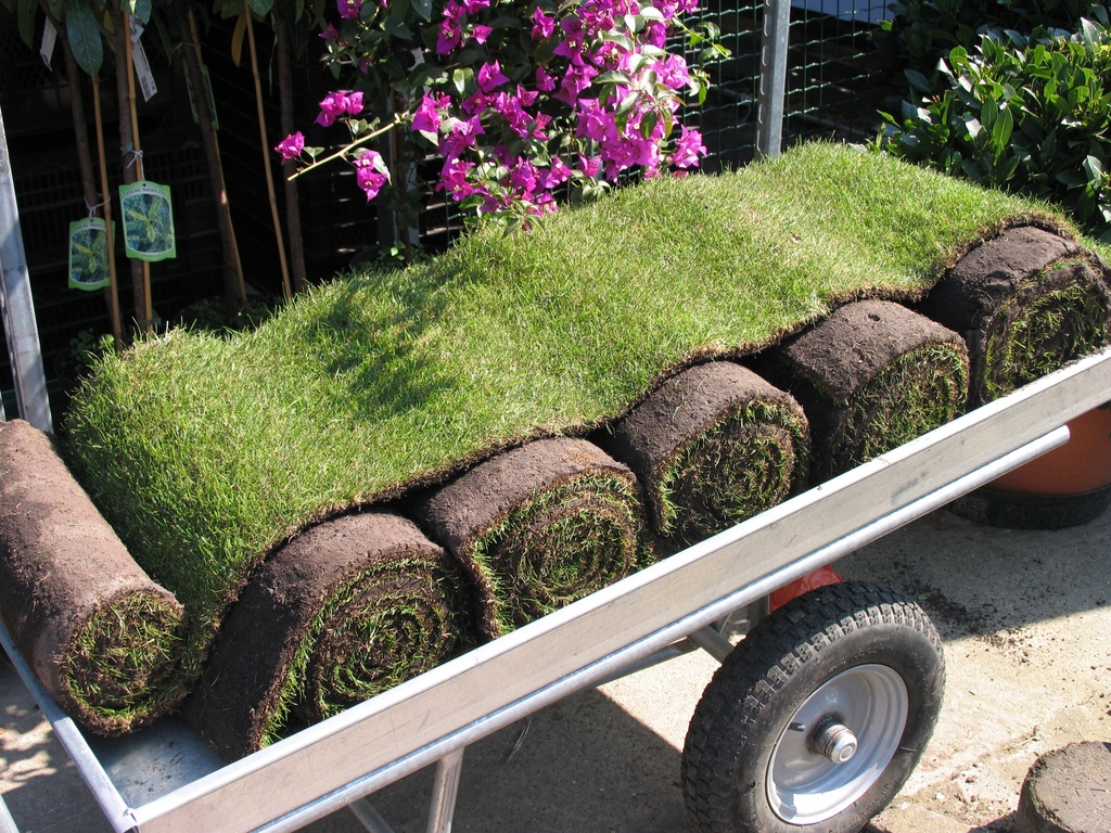 [GRZODGE] GRASZODEN 58x173cm geleverd ((280-419 m²))