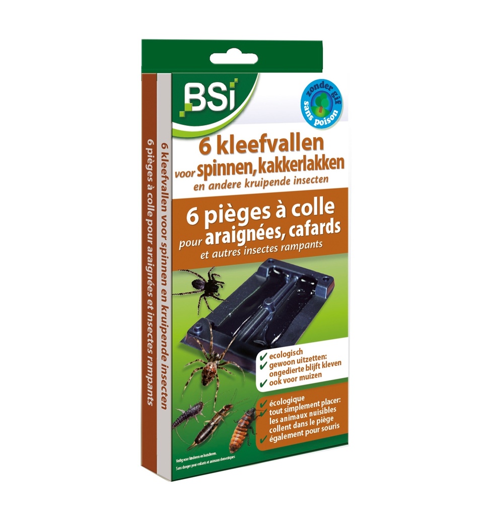 BSI À COLLE POUR ARAIGNÉES ET INSECTES RAMPANTS