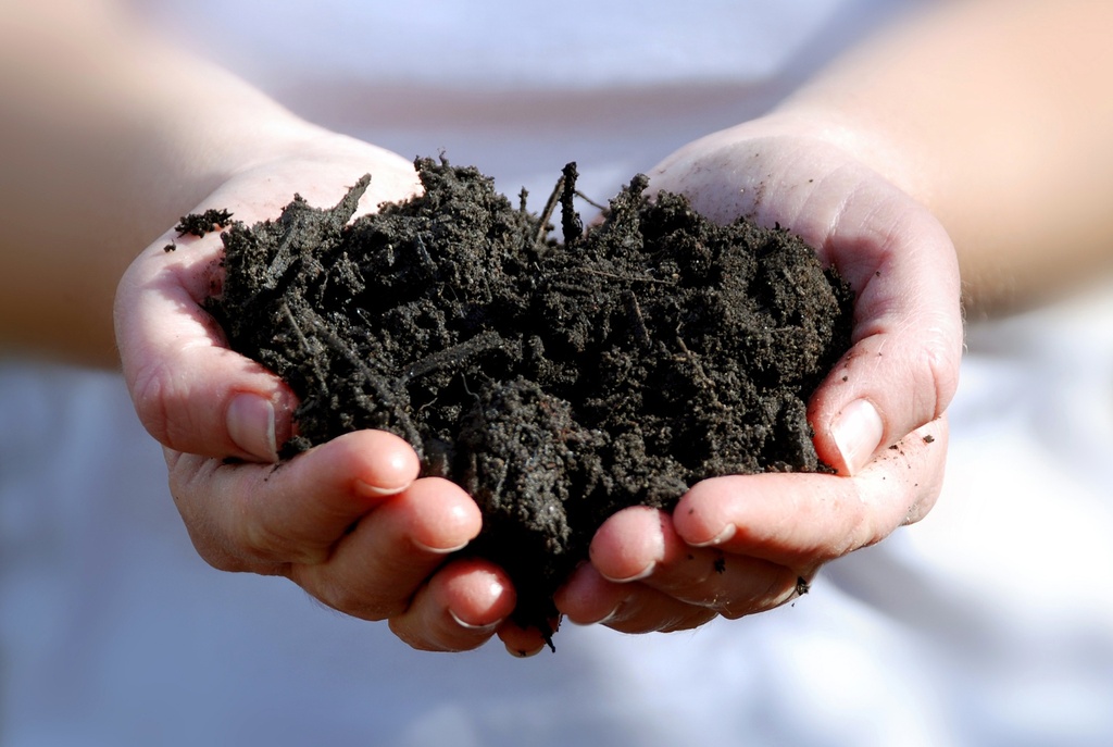 [KOMPOST 0 8M] COMPOST