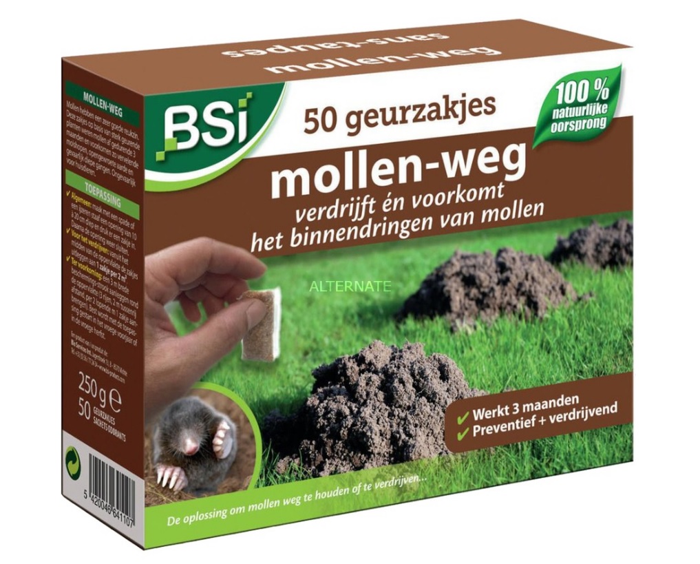 [MOLLENG] BSI SANS TAUPES