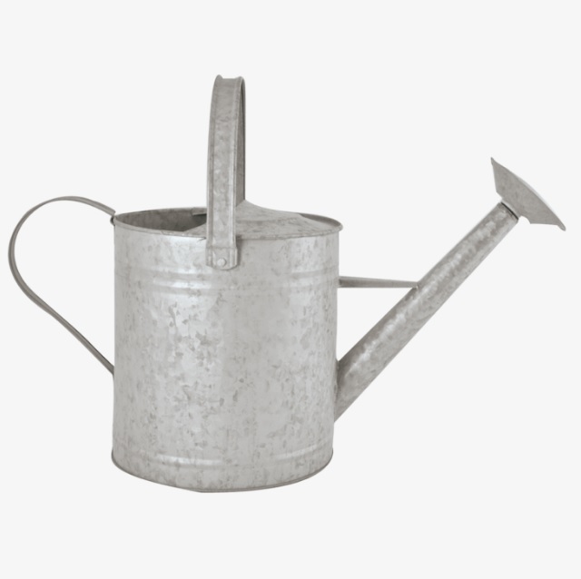 ARROSOIR ZINC PATTINÉ ESSCHERT