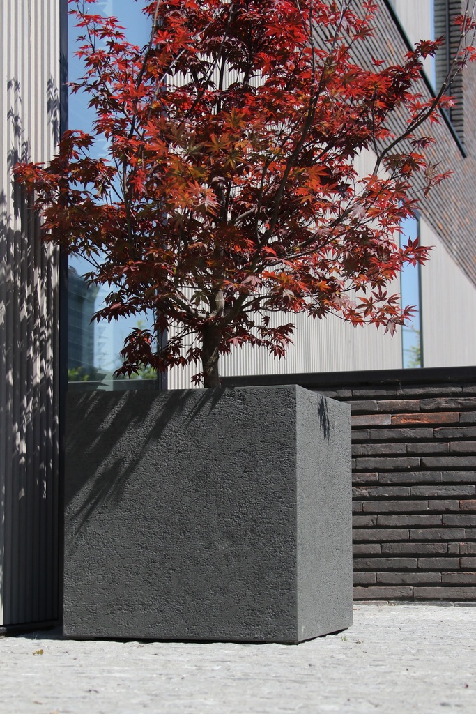 [2905027] STRUCTURA CUBE DARK BROWN (60x60)