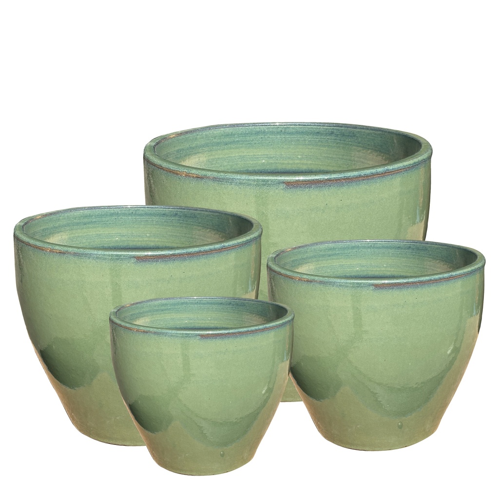 [34OLJA4] MALAY OLIVE POT JADE (25 x h21cm)