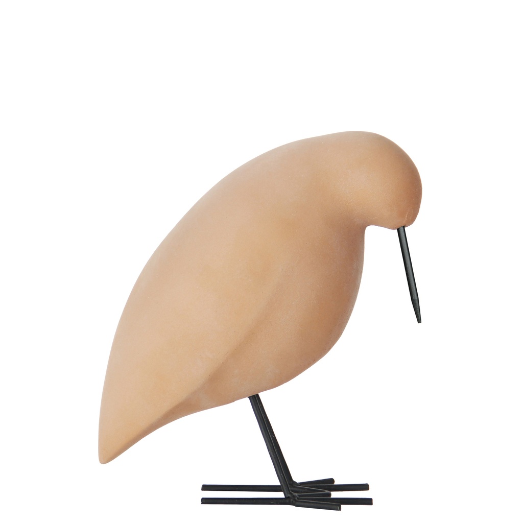 [A80KLRT] LAVA CONCRETE COAST BIRD RED TERRACOTTA