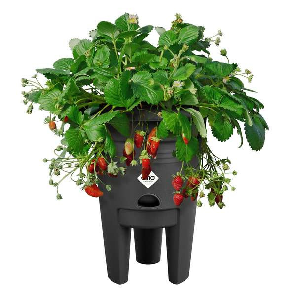 ELHO GREEN BASICS BAC FRAISIERS LIVING BLACK