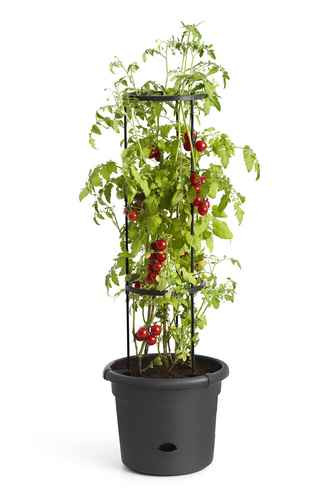 ELHO GREEN BASICS BAC TOMATES LIVING BLACK