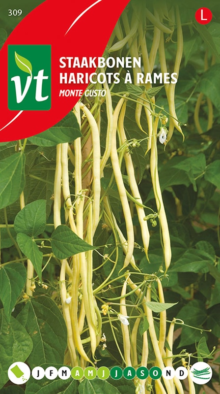[50001255] HARICOTS A RAMES MONTE GUSTO