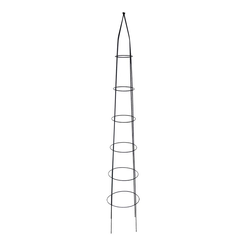 [PY89] PLANTENSTEUN PYRAMIDE ESSCHERT