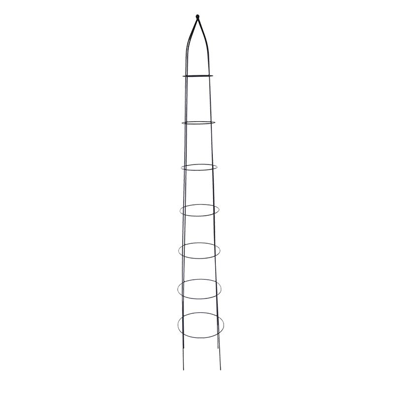 [PY90] PLANTENSTEUN PYRAMIDE ESSCHERT