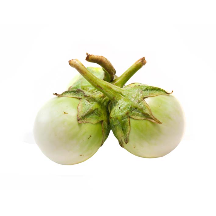 [AUWIT] AUBERGINE WIT