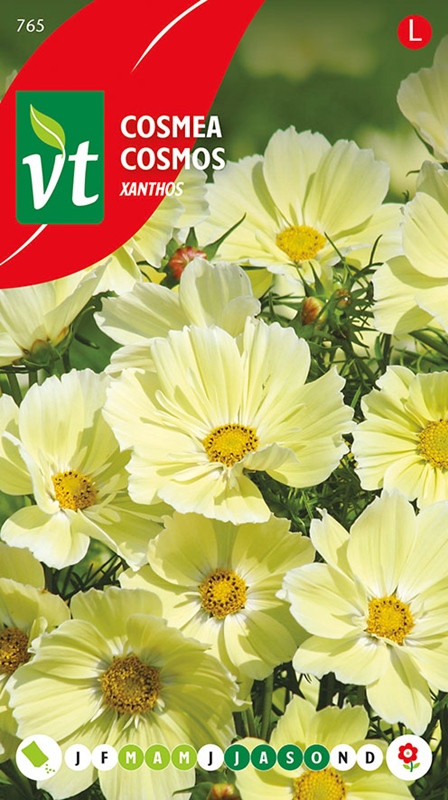 COSMEA XANTHOS