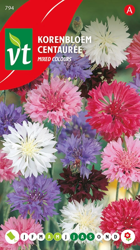 KORENBLOEM GEMENGD