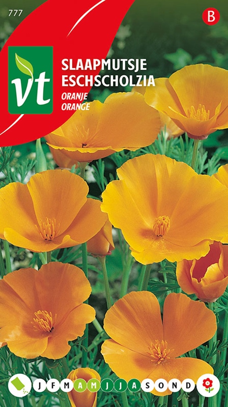 SLAAPMUTSJE ORANJE