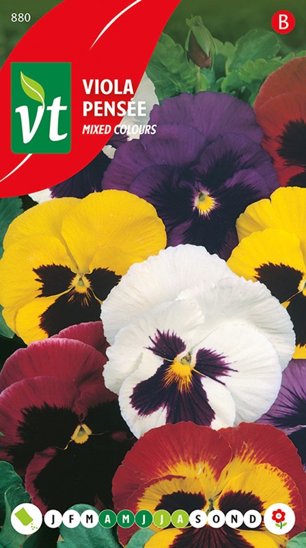 VIOLA GEMENGD