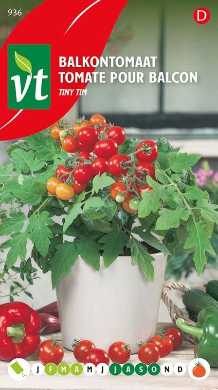 [50001574] TOMATE POUR BALCON TINY TIM
