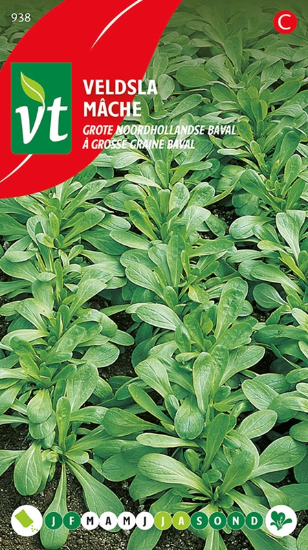 VELDSLA GROTE NOORDHOLLANDSE BAVAL