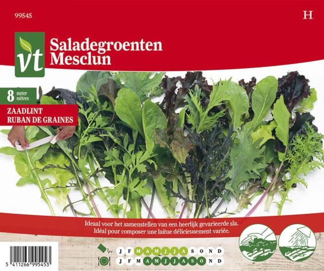 [50001890] LAITUE MESCLUN