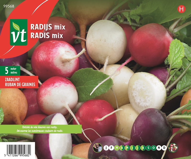 [50001902] RADIS MELANGE COLORE