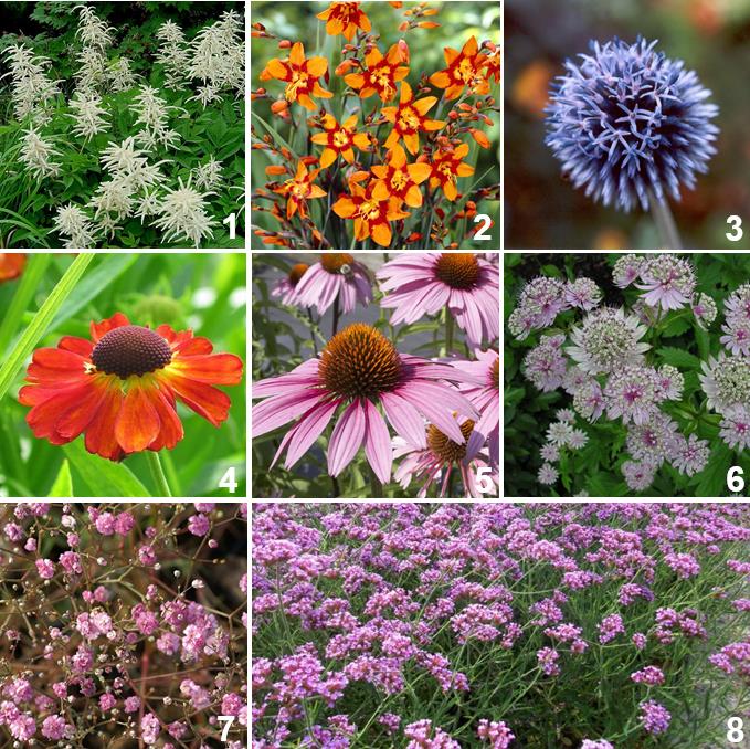 [BOPBPTU] KIT MASSIF 'JARDIN DE CEUILLETE'