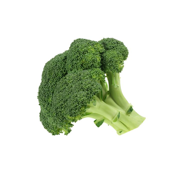 [BROCCOL] BROCCOLI F1