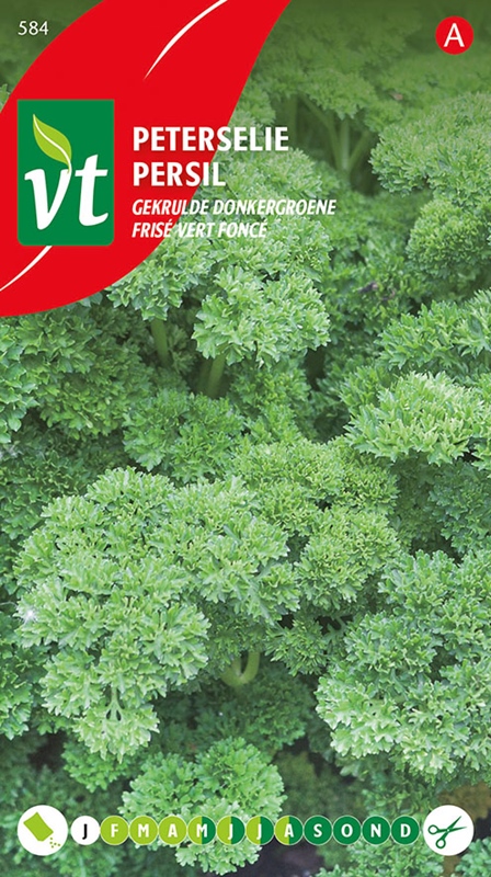 PETERSELIE GEKRULDE DONKERGROENE