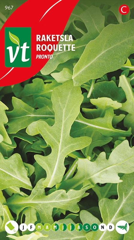 [5001605] ROQUETTE PRONTO