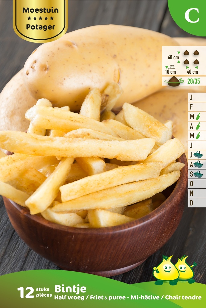 [AABINTJ] POMME DE TERRE BINTJE