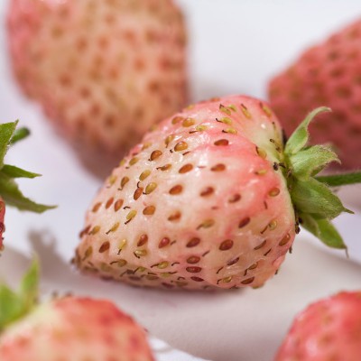 [AABUBHB] Aardbei BUBBLEBERRY kauwgom aardbei