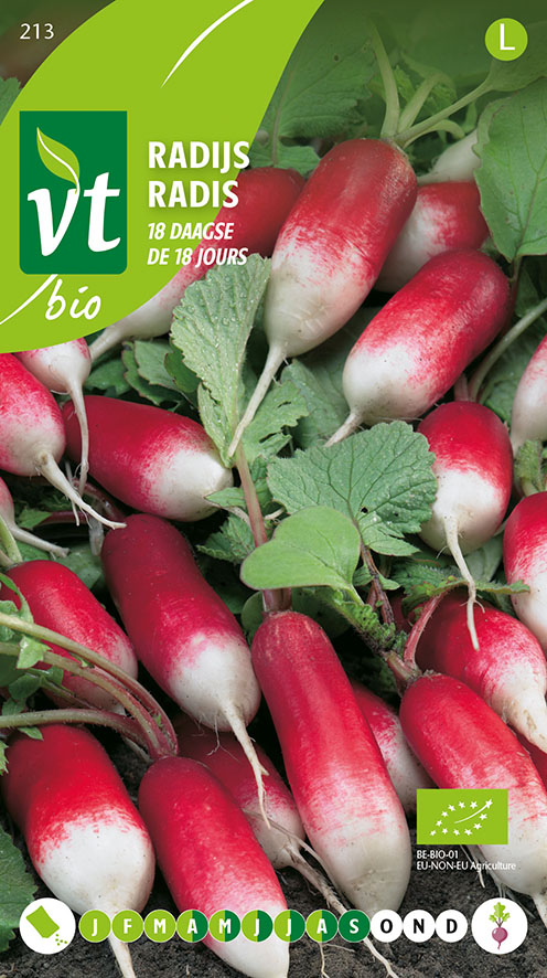 [00213] RADIS BIO DE 18 JOURS