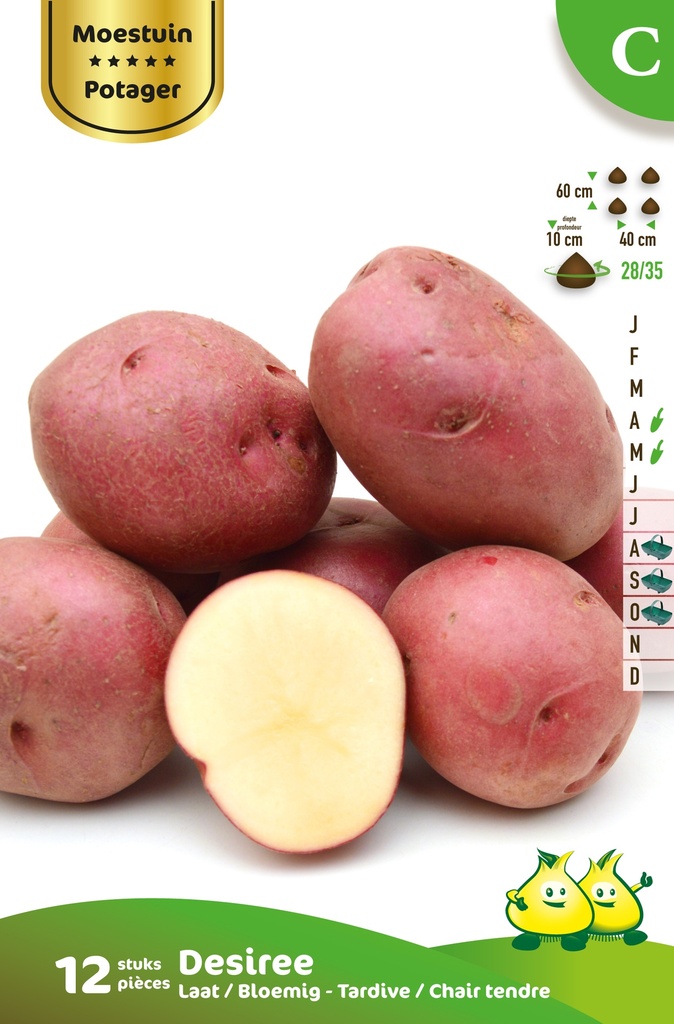 [AADESIR] POMME DE TERRE DESIREE