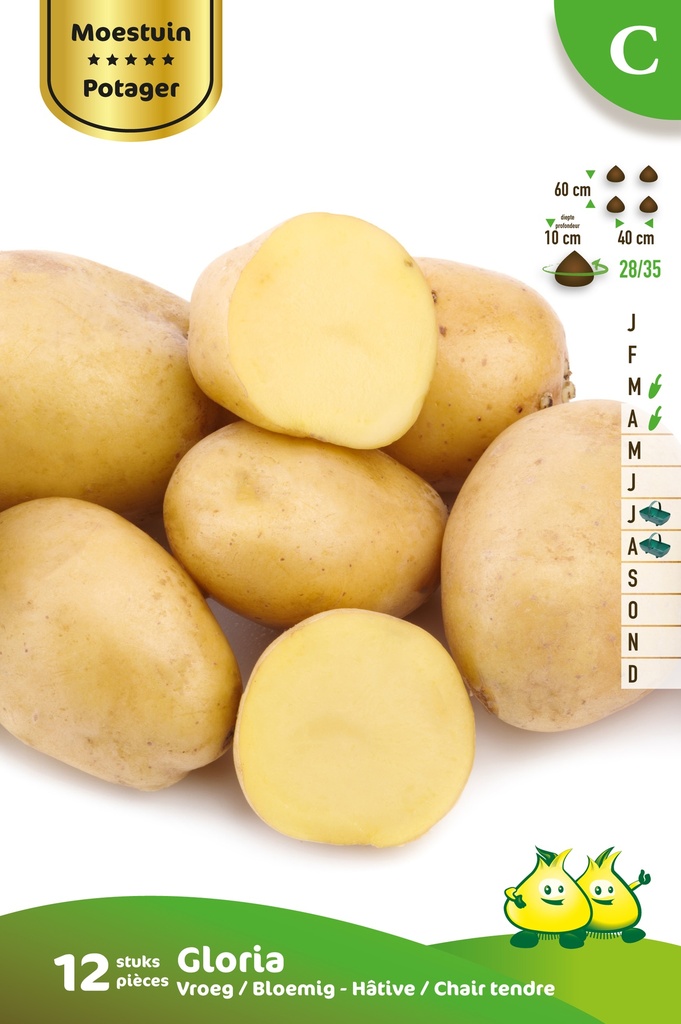 [AAGLORI] POMME DE TERRE GLORIA